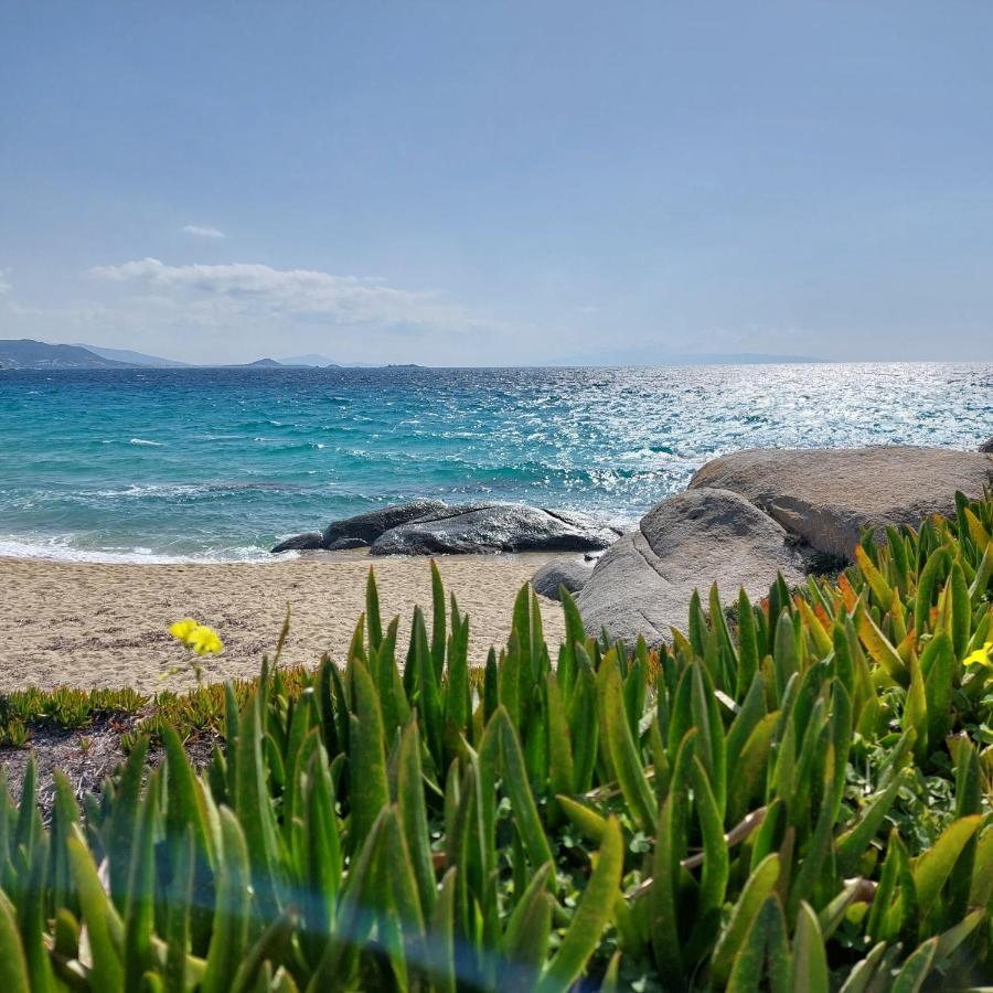 Sea U Soon Seafront Apartament Stelida (Naxos)